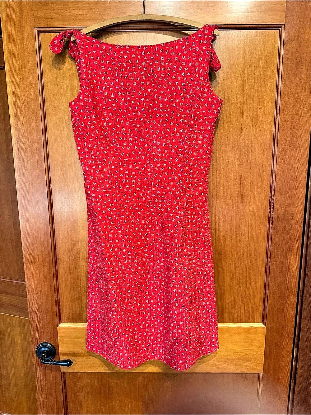 Vintage Red Floral Picnic Dress with ties